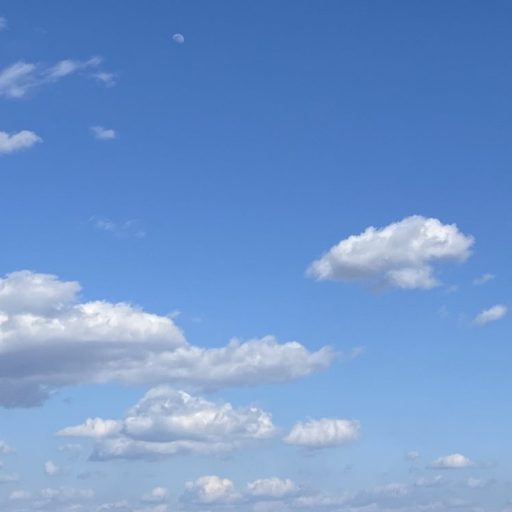 ＫＩＳＯ⭐️ 美容成分ハイドロキノンって何なの？🙁ヒト幹細胞 って何？😕KISO ｜高い美意識｜美容に意識が高い｜早めにエイジングケアしたい｜エビデンス(論理的な根拠)が欲しい｜効果を妥協したくない｜